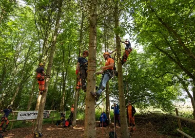 Faithful Tree Surgeons Worcester